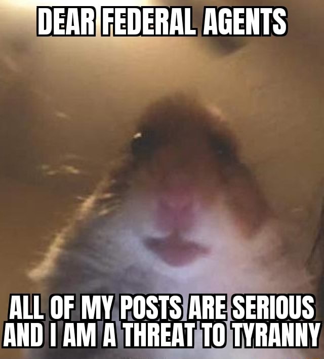 DEAR FEDERAL AGENTS ALL OF MY POSTS ARE SERIOUS AND I AM A THREAT TO