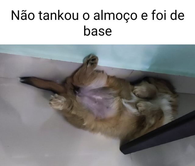 Não tankou o almoço foi de base iFunny Brazil