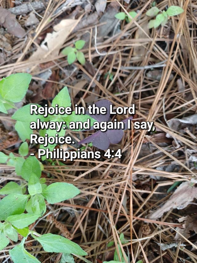 Rejoice In The Lord Alway And Again I Say Rejoice Philippians Ifunny