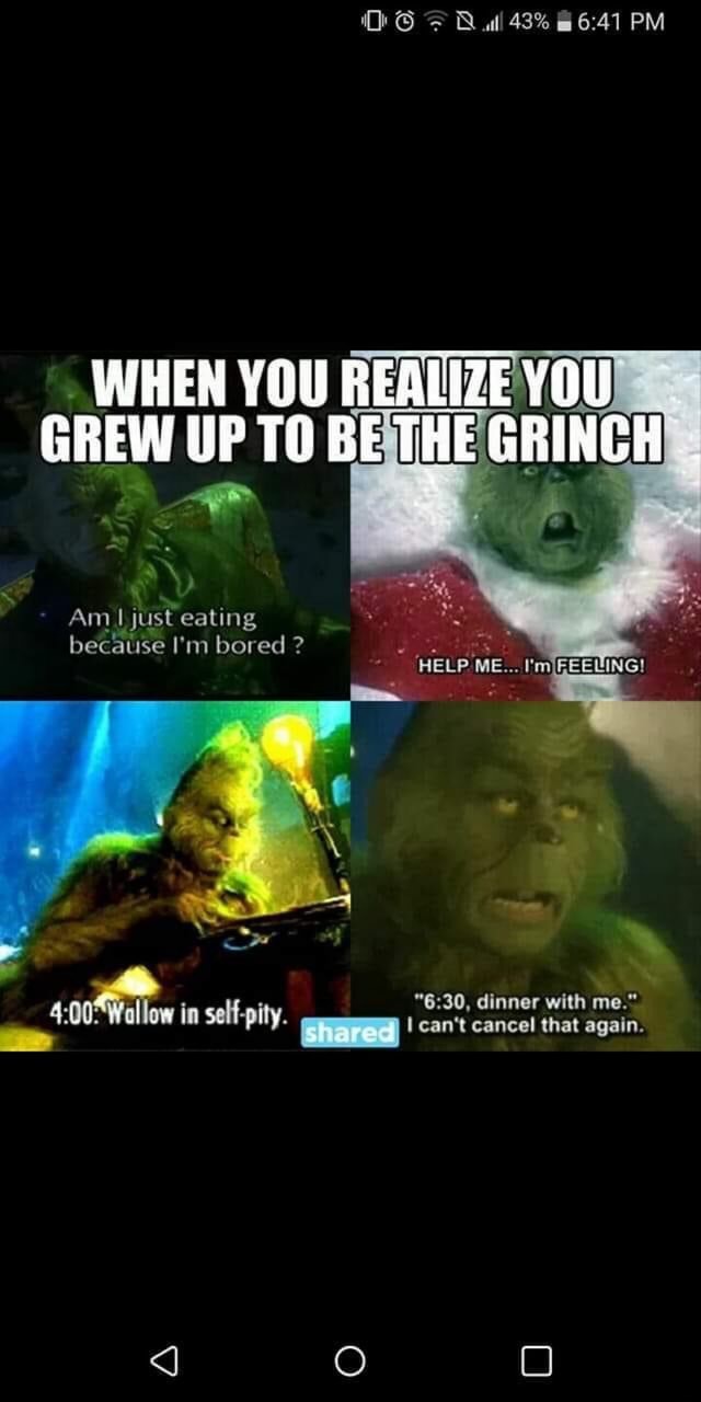 43 PM WHEN YOU REALIZE YOU GREW UP TO BETHE GRINCH HELP ME Am I