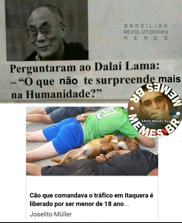 Perguntaram ao Dalai Lama O que nao te surpreende mais na n Cão