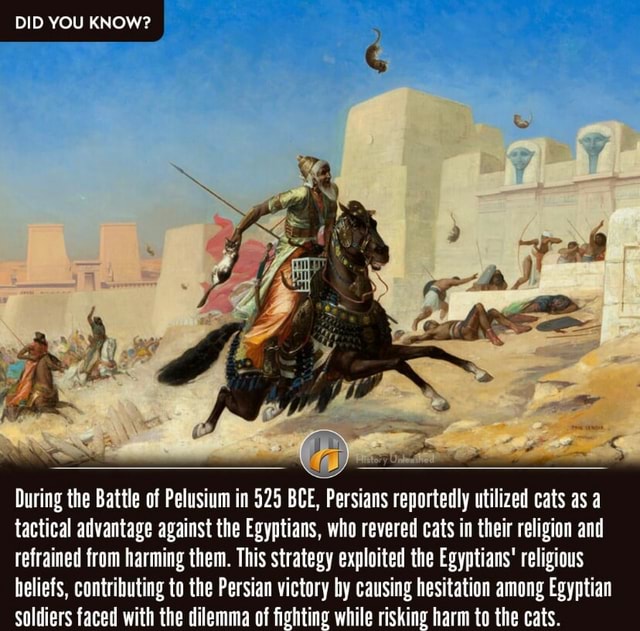 DID YOU KNOW During The Battle Of Pelusium In 525 BCE Persians