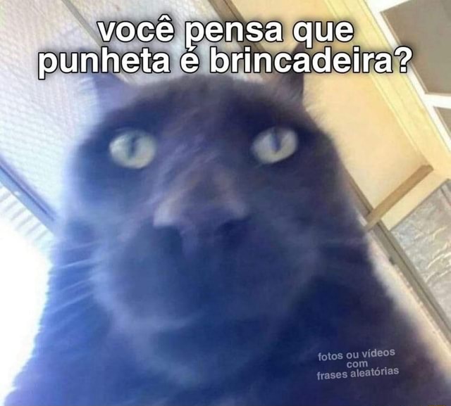 Voc Pensa Que N Punheta Brincadeira Ou Ifunny Brazil