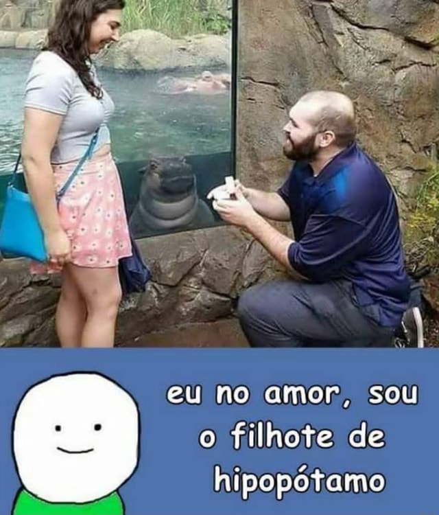 Eu no amor sou o filhote de hipopótamo iFunny Brazil