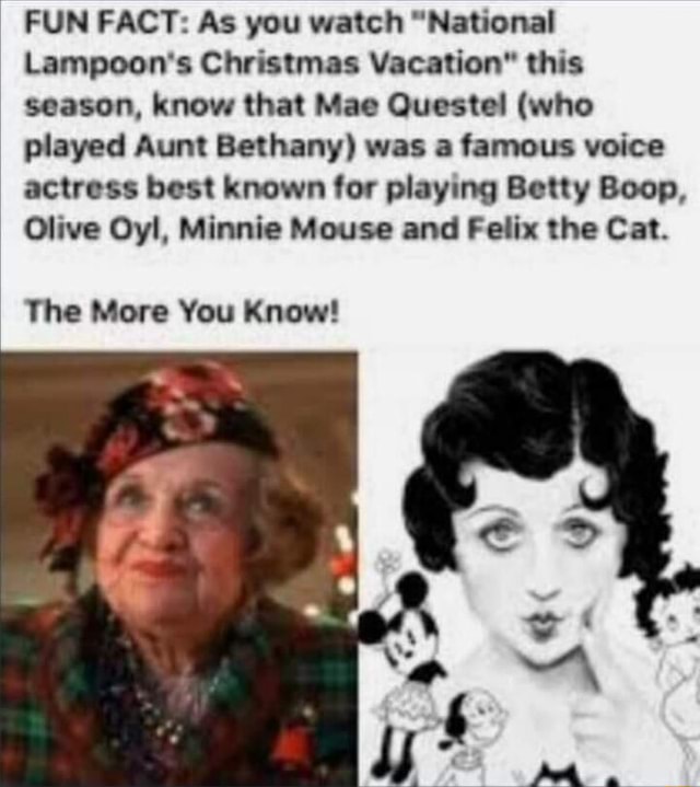 Fun Fact As You Watch National Lampoon S Christmas Vacation This