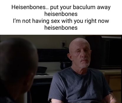 Heisenbones Put Your Baculum Away Heisenbones I M Not Having Sex With