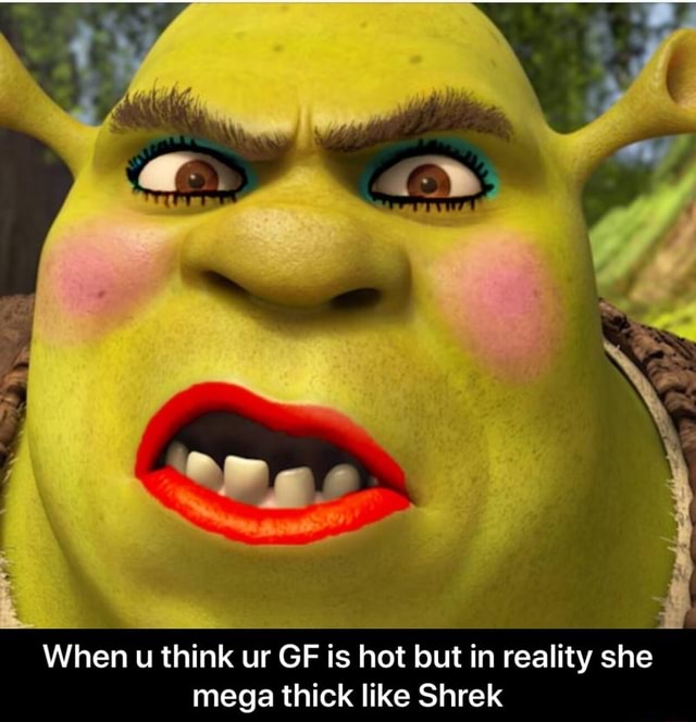 When U Think Ur GF Is Hot But In Reality She Mega Thick Like Shrek When U Think Ur GF Is Hot