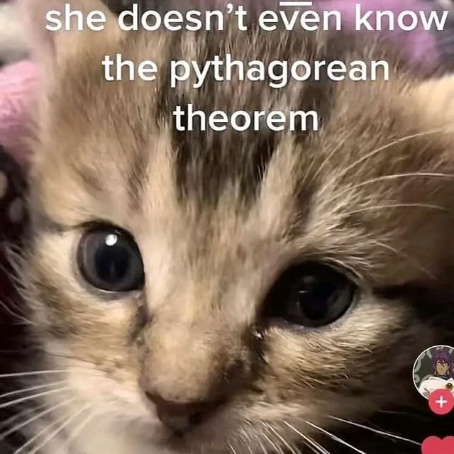 She Doesn T Even Know The Pythagorean Theorem IFunny