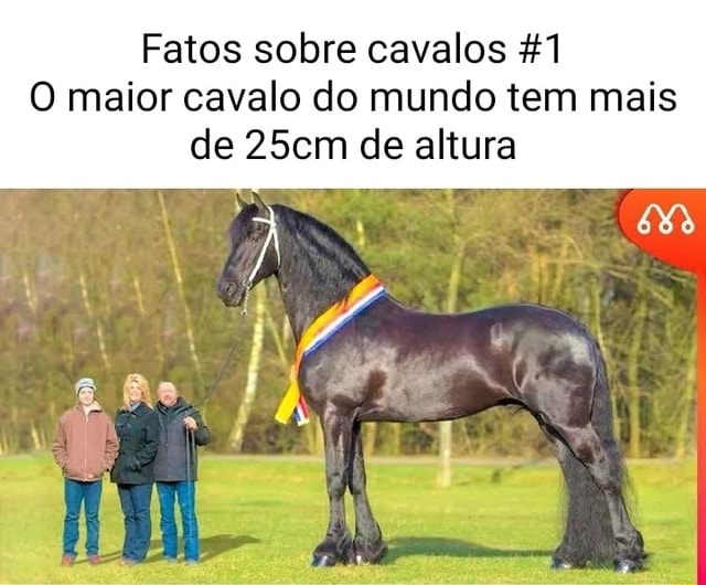 Fatos Sobre Cavalos O Maior Cavalo Do Mundo Tem Mais De Cm De