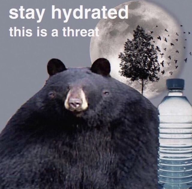 Stay Hydrated This Is A Threat IFunny