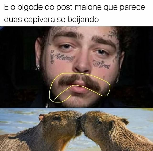 E O Bigode Do Post Malone Que Parece Duas Capivara Se Beijando