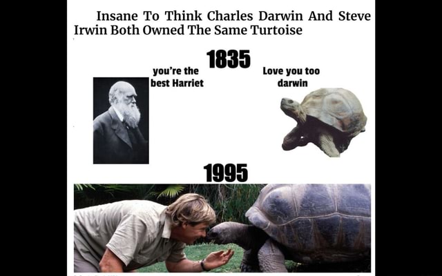 Insane To Think Charles Darwin And Steve Irwin Both Owned The Same