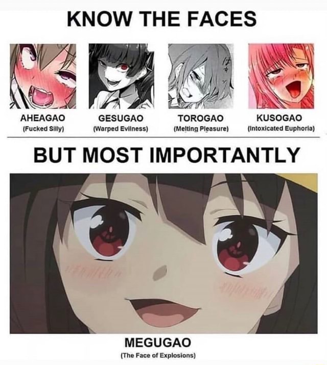KNOW THE FACES Noi AHEAGAO GESUGAO TOROGAO KUSOGAO Fucked Silly
