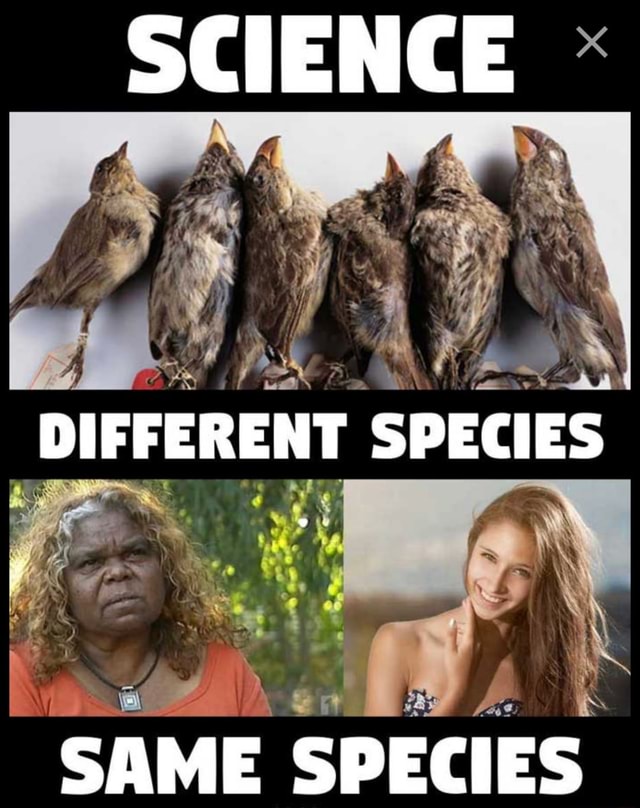 Science Different Species Same Species Ifunny