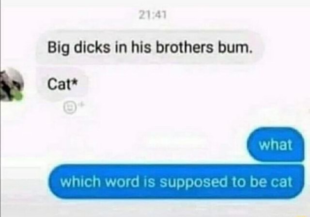 Big Dicks In His Brothers Bum Cat Which Word Is Suppos IFunny