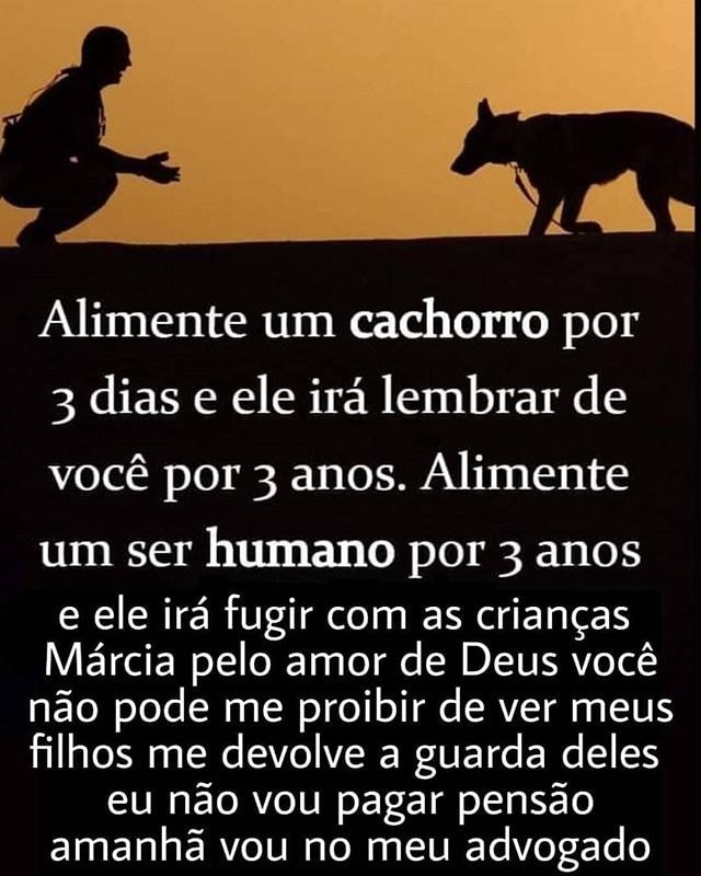 Alimente Um Cachorro Por Dias E Ele Ir Lembrar De Voc Por Anos