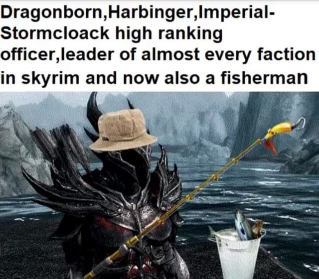 Dragonborn Harbinger Imperial Stormcloack High Ranking Officer Leader