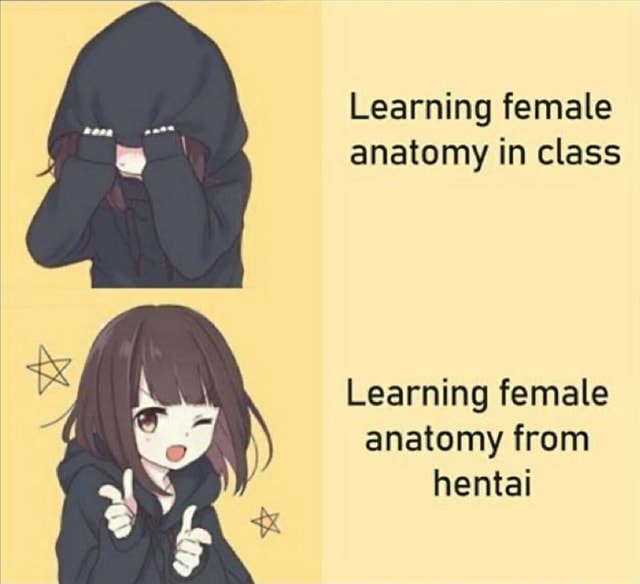 Learning Female Anatomy In Class Learning Female Anatomy From Hentai