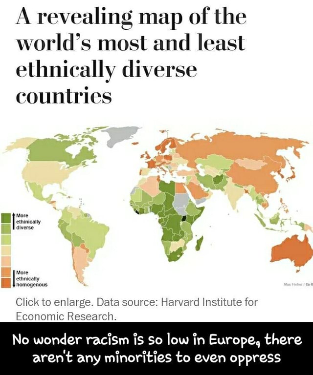 A Revealing Map Of The World S Most And Least Ethnically Diverse