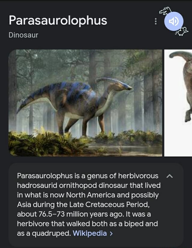 Parasaurolophus Dinosaur Parasaurolophus Is A Genus Of Herbivorous A