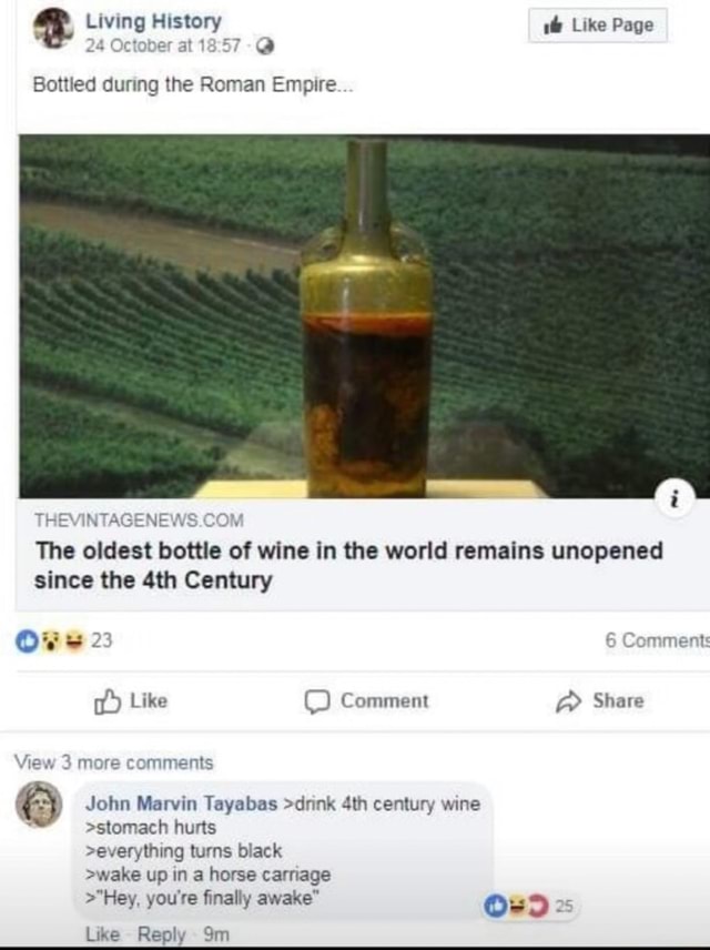 Meg History Une Page The Oldest Bottle Of Wine In The Worid