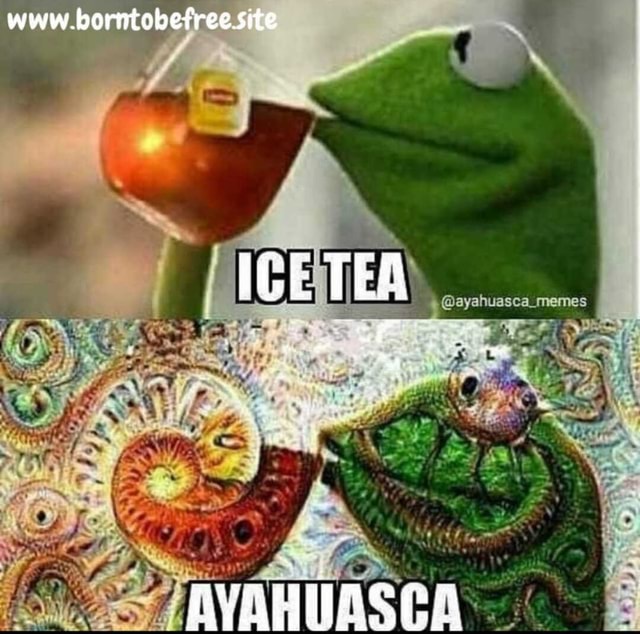 Ayahuasca Memes Americas Best Pics And Videos