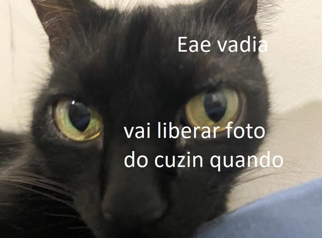 Eae Vadia Vai Liberar Foto Do Cuzin Quando Ifunny Brazil