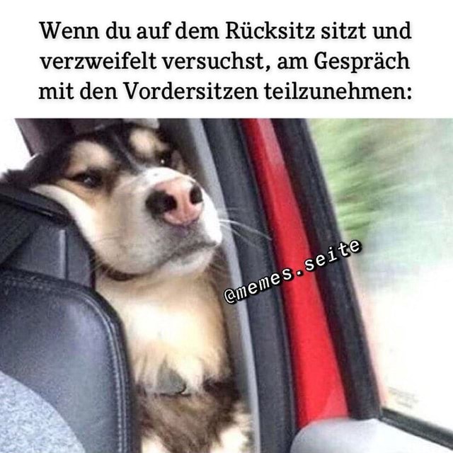 Wenn Du Auf Dem R Cksitz Sitzt Und Verzweifelt Versuchst Am Gespr Ch