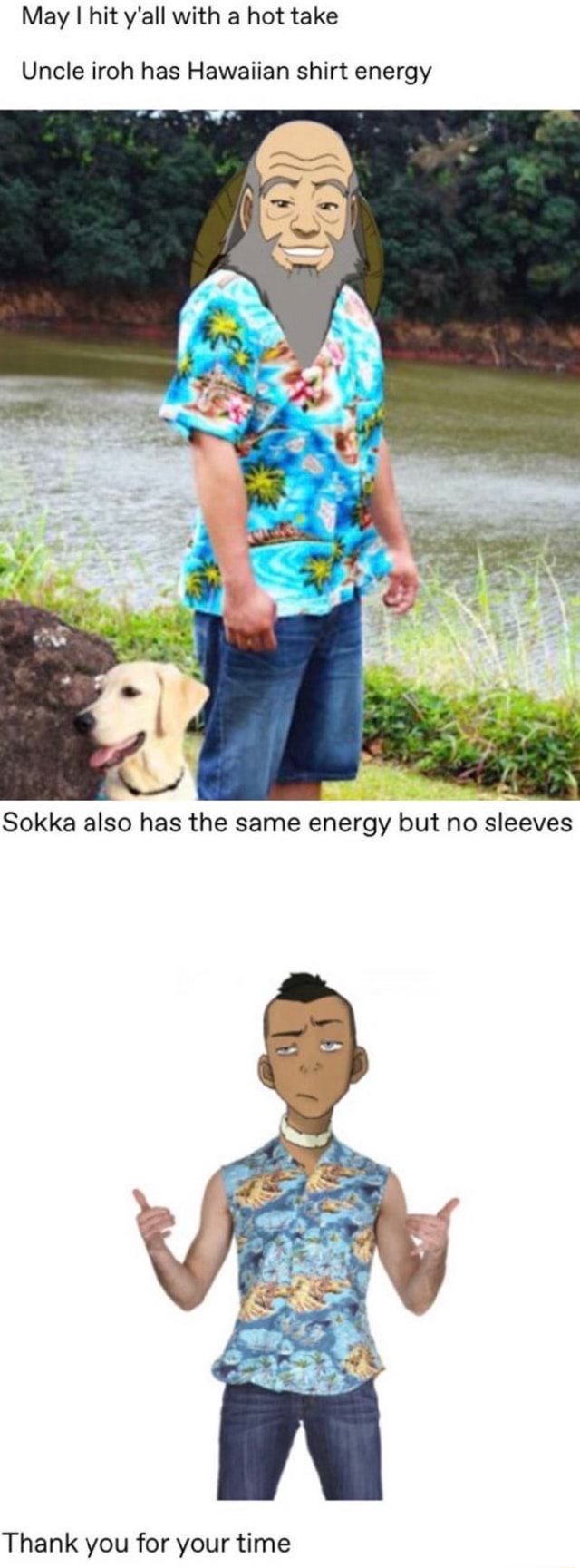 May I Hit Y All With Hot Take Uncle Iroh Has Hawaiian Shirt Energy IFunny
