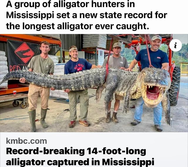 A Group Of Alligator Hunters In Mississippi Set A New State Record For