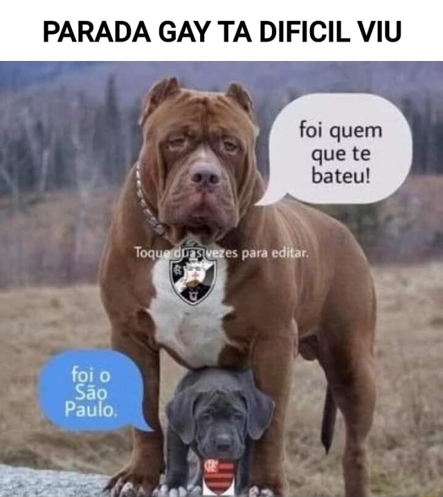 Parada Gay Ta Dificil Viu Foi Quem Que Te Bateu Ver Fo Ifunny Brazil