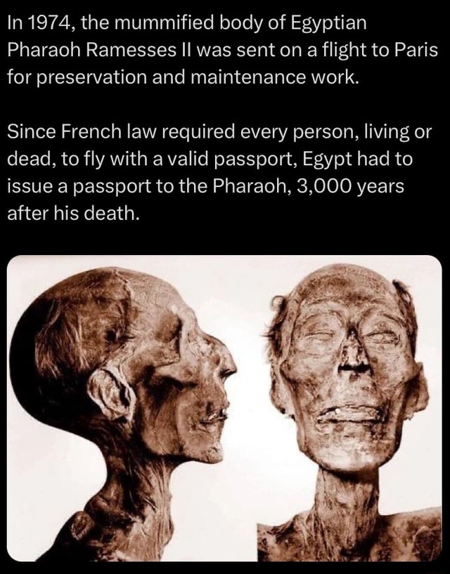 In 1974 The Mummified Body Of Egyptian Pharaoh Ramesses II Was Sent On