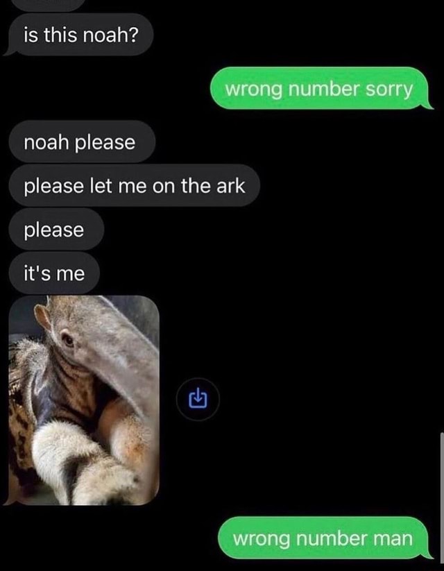 Is This Noah Wrong Number Sorry Please Let Me On The Ark Noah Please