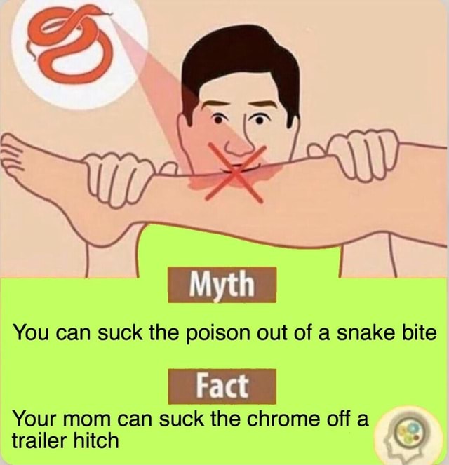 You Can Suck The Poison Out Of A Snake Bite Your Mom Can Suck The Chrome Off A O Ifunny