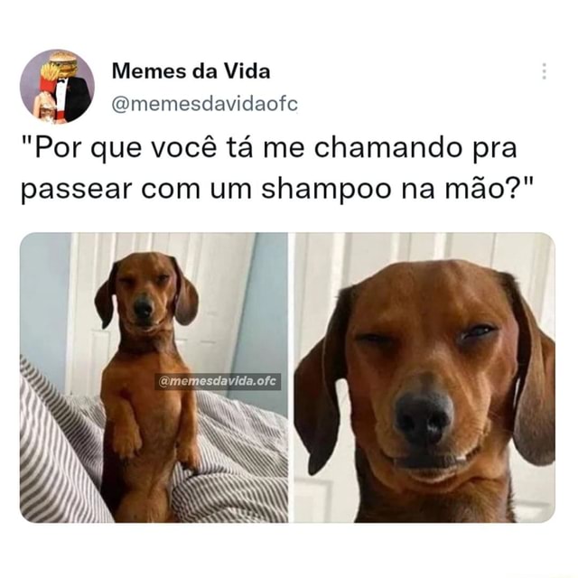 N A Memes da Vida Qmemesdavidaofe Por que você tá me chamando pra