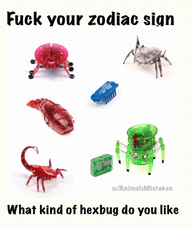 Fuck Your Zodiac Sign What Kind Of Hexbug Do You Like Ifunny