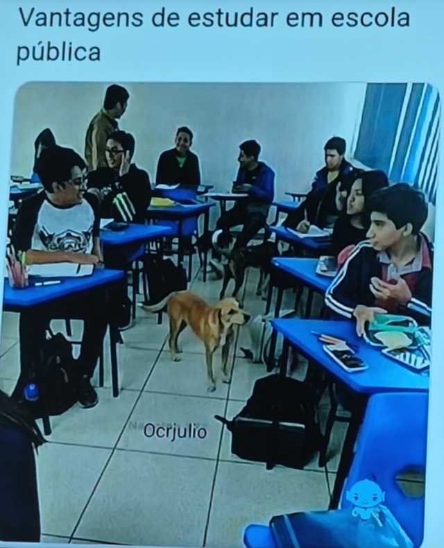 Vantagens De Estudar Em Escola P Blica