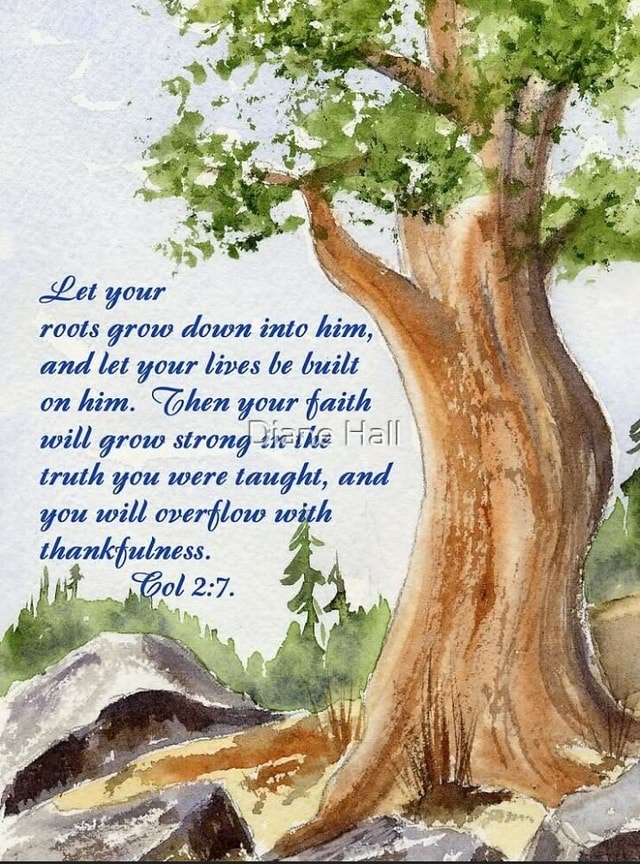 Let Your Roots Grow Down Into Him And Let Your Lives Be Built On Him