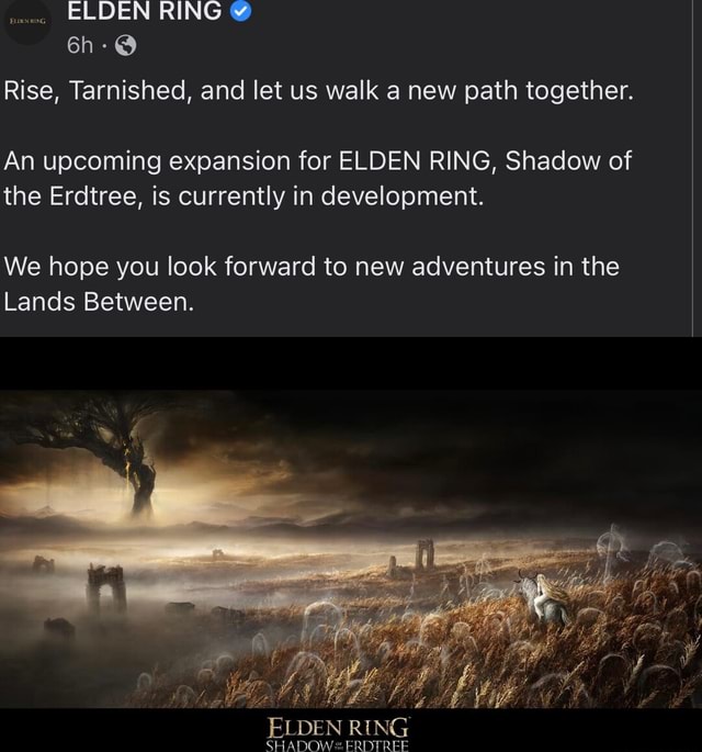 ELDEN RING Rise Tarnished And Let Us Walk A New Path Together An