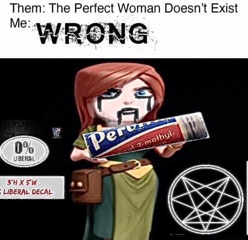 Them The Perfect Woman Doesn T Exist Me Wrong Liberal Decal Ifunny