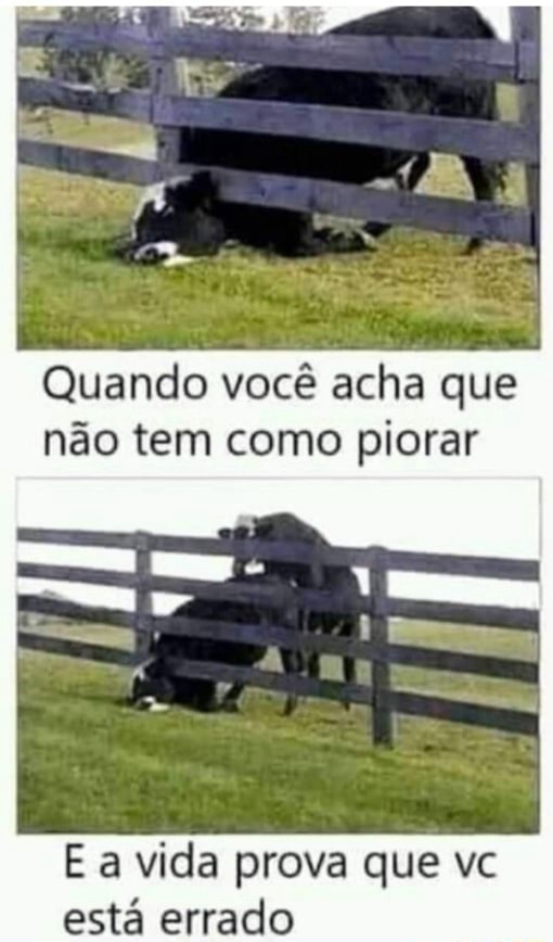 Quando você acha que não tem como piorar E a vida prova que vc está