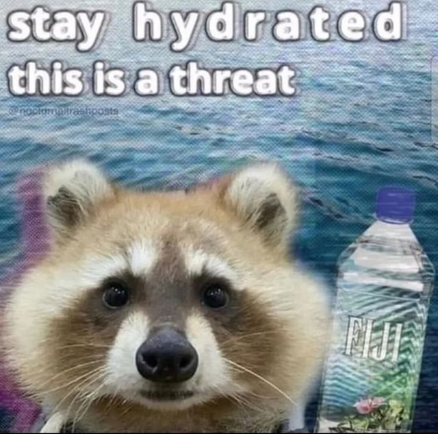 Stay Hydrated This Is A Threat IFunny