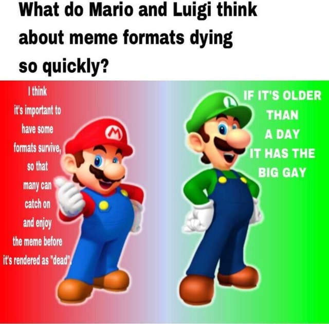 What Do Mario And Luigi Think About Meme Formats Dying So Quickly I