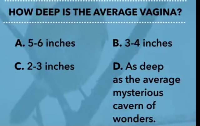 How Deep Is The Average Vagina A Inches C Inches B Inches D As Deep As The