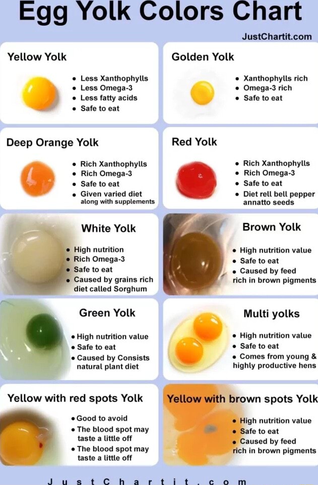 Egg Yolk Colors Chart Yellow Yolk Golden Yolk Less Xanthophylls