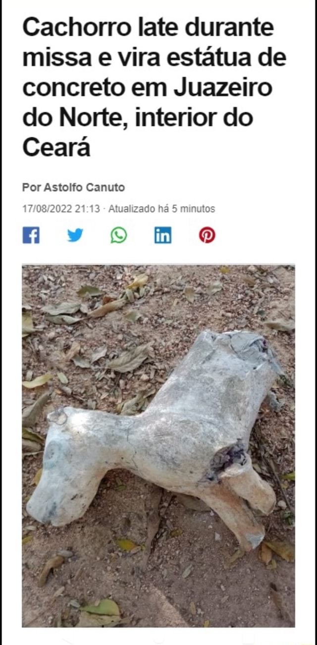 Cachorro Late Durante Missa E Vira Est Tua De Concreto Em Juazeiro Do