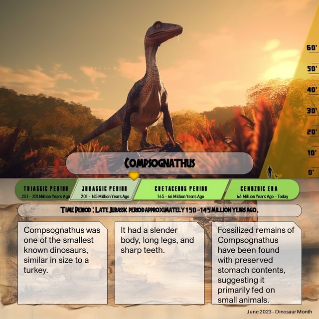 201 145 Million Years Ago Compsognathus Was One Of The Smallest Known