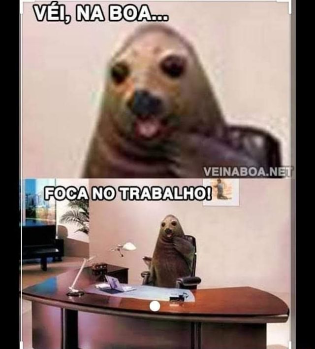 V I Na Boa Foca No Trabalho Ifunny Brazil