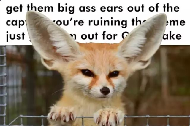 Get Them Big Ass Ears Out Of The Re Ruining Th Just Out For Oke Or