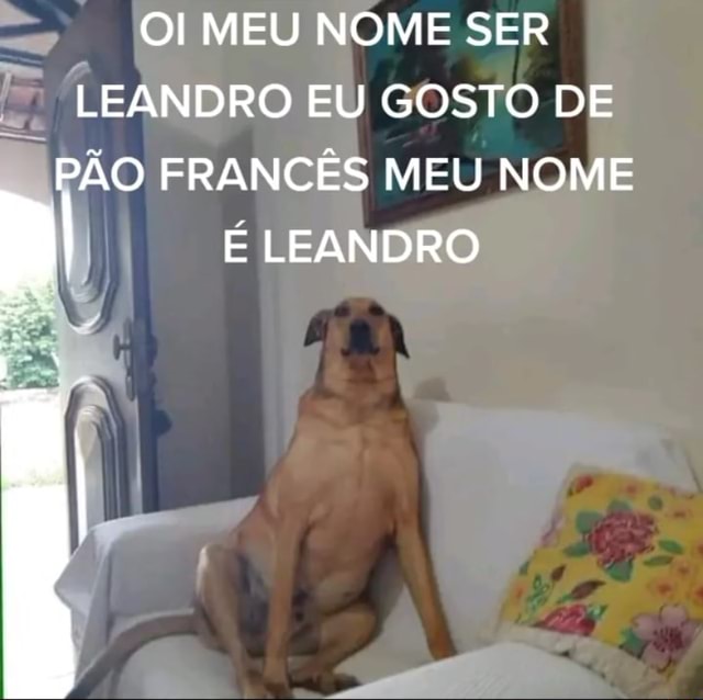 Oi Meu Nome Ser Leandro Eu Gosto De P O Franc S Meu Nome Ii Leandro